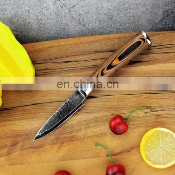 Hot selling mini Damascus paring knife stainless steel