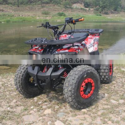 Wholesale 2020 Electric 4X4 Beach Buggy