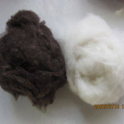 100% Natural Sheep Wool 100% Cashmere Wool  Wool Raw Materials