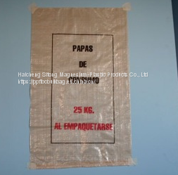 Wholesale Price 5kg 25kg 50kg Kraft Paper Laminated Cement Packaging Valve Bags photo-4