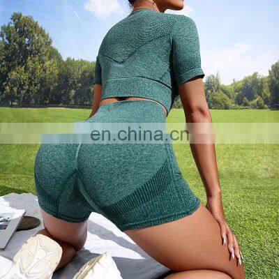 Seamless Two Piece Yoga Wear Custom Workout Short Sleeve Crop Top And Shorts Women Activewear Private Gym Fitness Sets photo-5