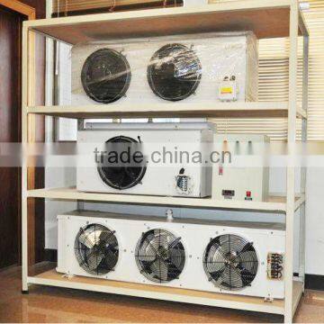 Small Black Garlic Cold Room With Machine photo-5