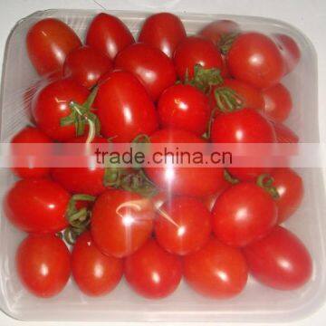 Quality Technology Vegetables Packing Machine With Servo Motor photo-3