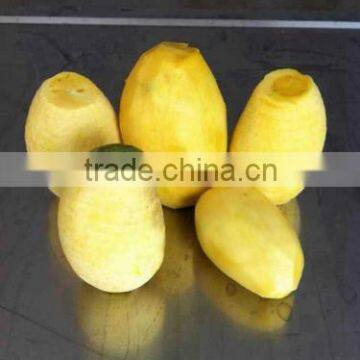 Good Price Pumpkin Peeler/pineapple Peeling Machine/cantaloupe Peeling Machine photo-4