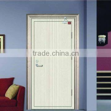 Professional Stell Security Door