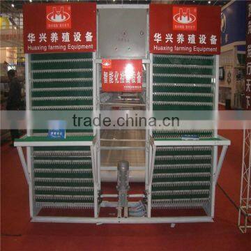 Automatic Egg Collecting System for chicken cage