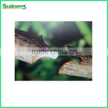 high-quality grafting tools