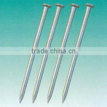 Factory on Hot Sale Manufacturer Common Wire Iron Nail Common Nail photo-3