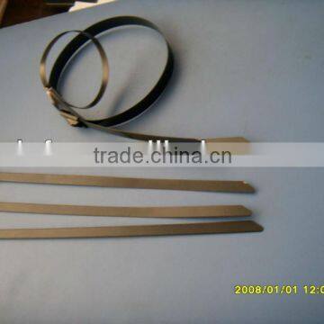 PVC coated SS304 cable tie 300mm