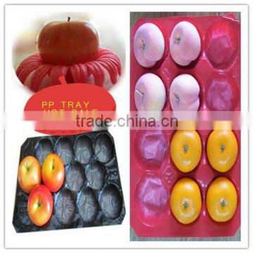 Compartment PP Apple Tray