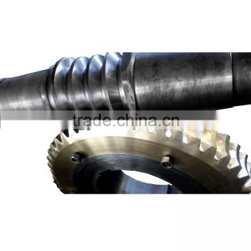 China fcatory power transmission worm gear and shaft