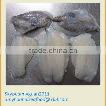 Frozen Fish John Dory fillet (skin on)