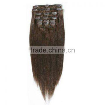 Chinese Remy Clip Hair Extension - Straight Clip hair