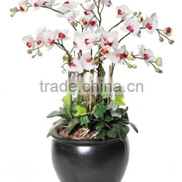 Artificial white butterfly orchids flower bonsai