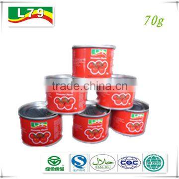 tomato paste in can tomato paste 70g