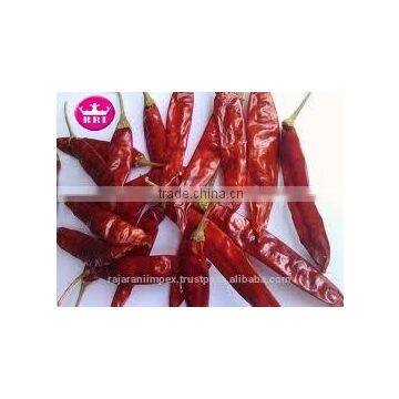 SANNAM S4 Lower Price Dry Red Chilli