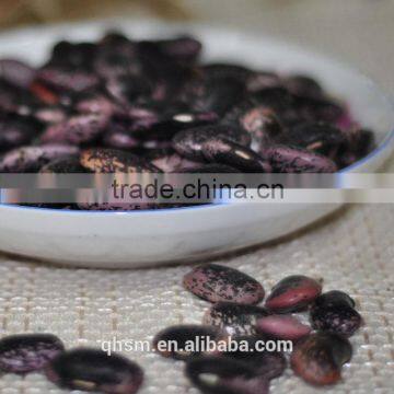 bulk beans, benefits black beans, black kidney beans