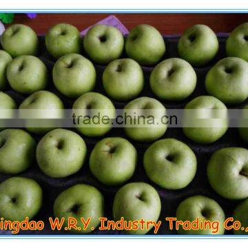 good delicious fresh gala apple from China