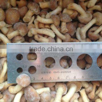 Frozen Nameko photo-2