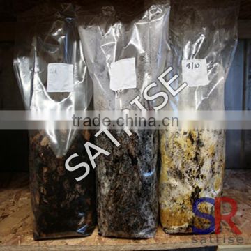 Mushroom Cultivation Breathable Plastic polyethylene bag making machine