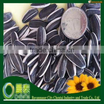 Export Plump Clean Less Vermin Damage Different Types Of Sunflower Seeds