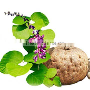 Breast Enhancement Anointed for Thailand Pueraria Mirifica Breast Cream Hearbal Extract photo-4