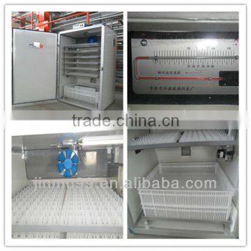 automatic small chicken egg incubator for sale in Nigeria