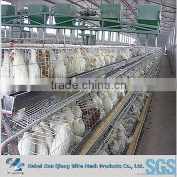 poultry farm galvanized welded wire chicken cages