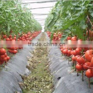 Banana And Tomato Binding Twine Spool Windering Machine photo-5