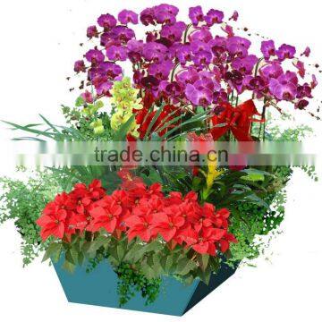 Indoor Decorative Flower Pots ,plastic Tree Pots Planters,planters Flower Pot Indoor Planters, Plastic Planters,table Pots photo-5