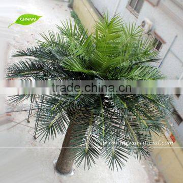 APM031 GNW artificial canada plastic palm trees for decoration