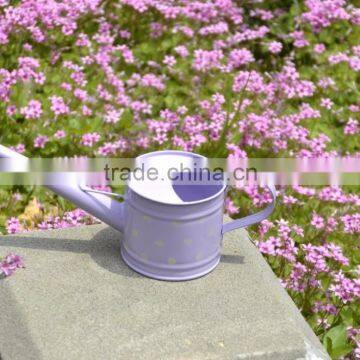 New Style Metal Watering Can With Printing photo-4