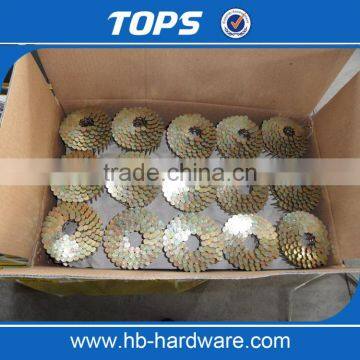 Coil Roofing Nail photo-3