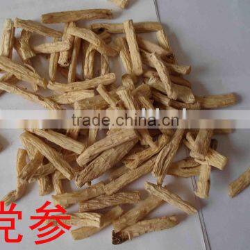 Natural plant herbs dangshen
