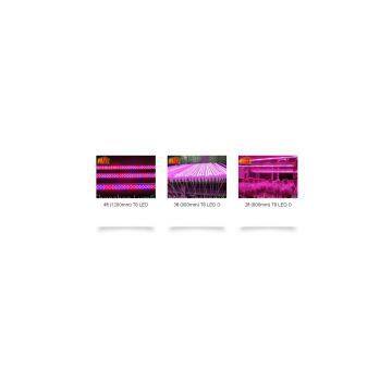 T8 LED Grow Tubes