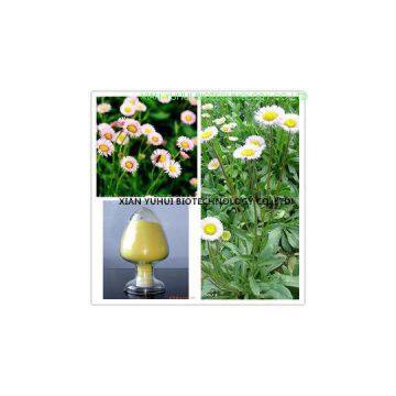 Erigeron Breviscapus Extract,Breviscapine 98%,Breviscapine,Breviscapine powder