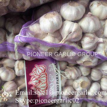 4.5-5cm, 5.5cm-6cm Ajo Blanco Normal Fresco Chino Con Embalaje Cajas de Cartón photo-2