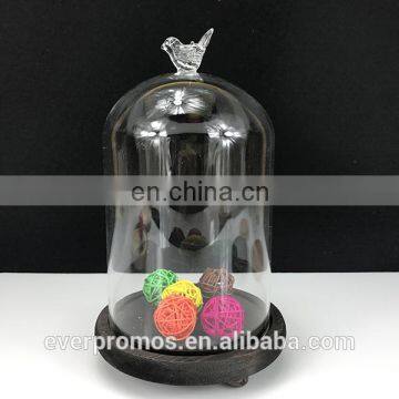 High Quality Flower and Decoration Display Multi Size Glass Candle Domes with Wooden Base