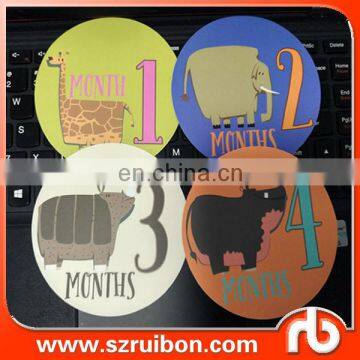 Monthly Baby Stickers - Baby Boy Sticker- Months 1-12-Milestone Onesie Stickers