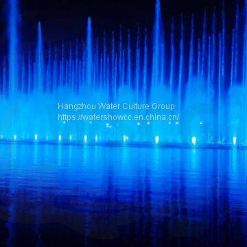 Music Water Fountain with Night Light Show