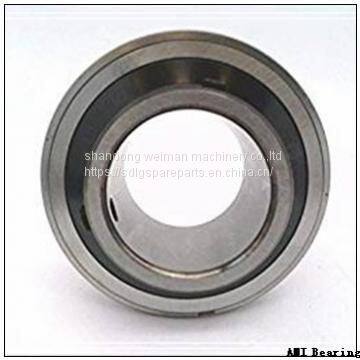 AMI Bearing