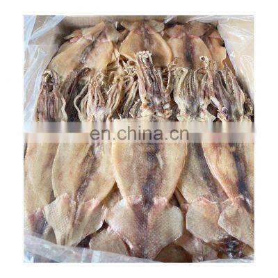 dried argentina squid fillet