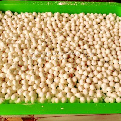 FY-006 Tapioca Taro Round Machine Full Automatic Tapioca Pearls Ball Powder Round Ball Making Forming Machine Tapioka-Perlen-Maschine photo-2