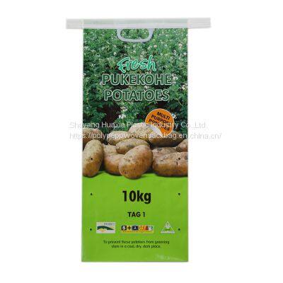 Customized 5kg 10kg 15kg PP Woven Rice Grain Seed Bag With Handle photo-4
