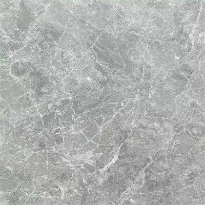 600X600mm Matt Vitrified Ceramic Non Slip Glazed Rustic Porcelain Floor Wall Tile photo-4