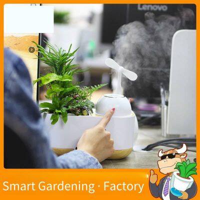 Smart Planting Flower Pot Humidifier, Manufacturer's Product, Business Gift, a Labor-saving Water-storage and Humidifying Gadget for the Lazy photo-3