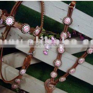 Head stall,breast plate
