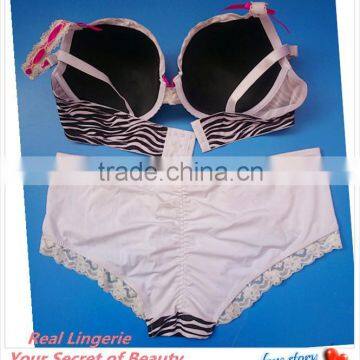 Fashion Plus Size Bra Set, Sexy Zebra Printed Microfiber