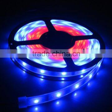 christmas light SMD3528 120leds double color 12mm board 24v led strip