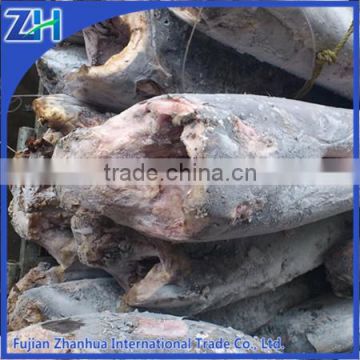 export seafood fish frozen swordfish wholesale